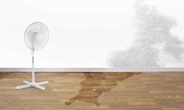 Best Sewage cleanup and water damage restoration  in Ventress, LA