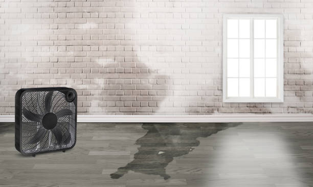 Reliable Ventress, LA Water damage restoration Solutions