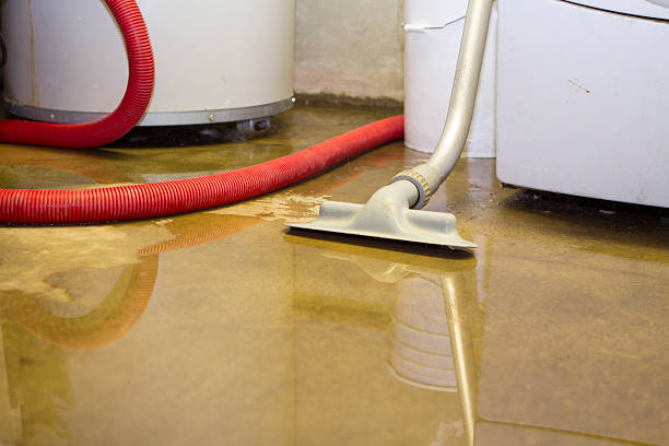 Best Water damage cleanup near me  in Ventress, LA