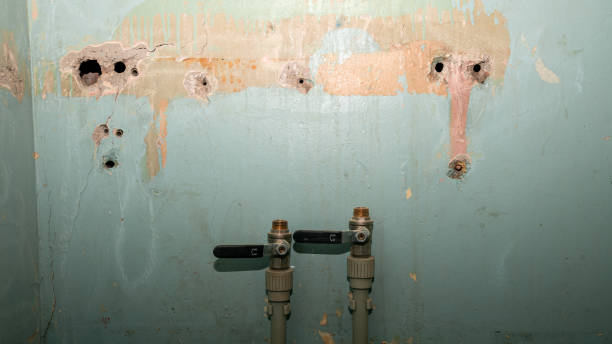 Water damage restoration mold remediation in Ventress, LA